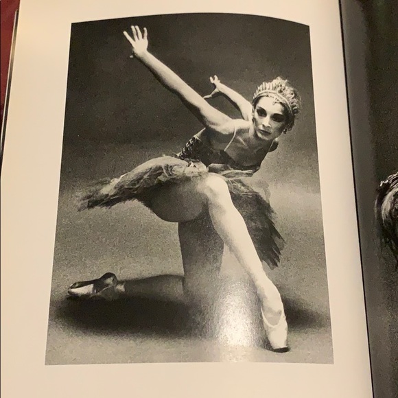 Large Paperback Book - Picture 3 of 8